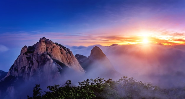 江西庐山植物园